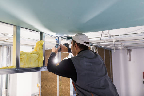 Best Residential Insulation in Ucon, ID