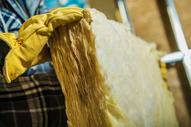 Best Cellulose Insulation in Ucon, ID